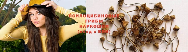 кристаллы Алзамай