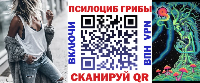 Псилоцибиновые грибы Psilocybe  где продают   Егорьевск 