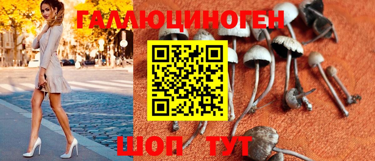Галлюциногенные грибы Magic Shrooms Егорьевск